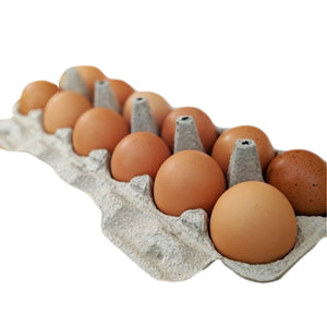 Pasture Raised Chicken Eggs (Corn and Soy Free) - PLEASE ORDER SEPERATELY