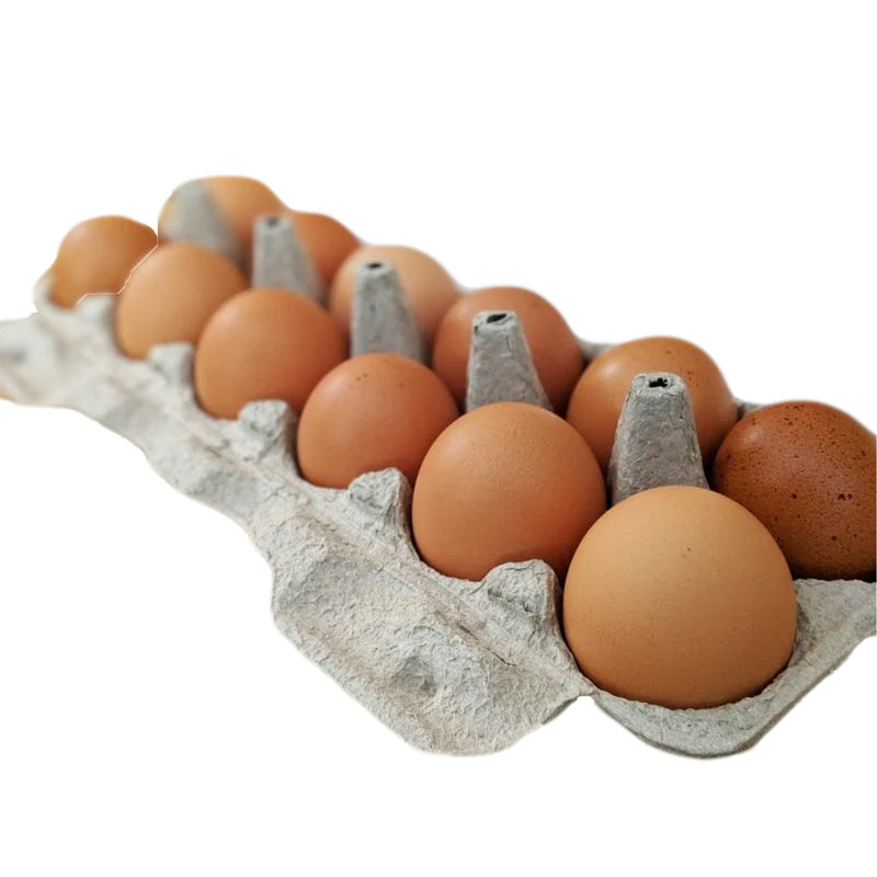 Pastured Eggs - Dozen (NON GMO, CORN/SOY FREE) - PICKUP ONLY – Shirttail  Creek Farm