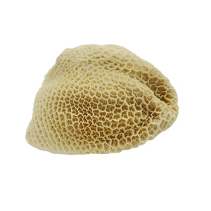Grass Fed Goat Tripe Stomach