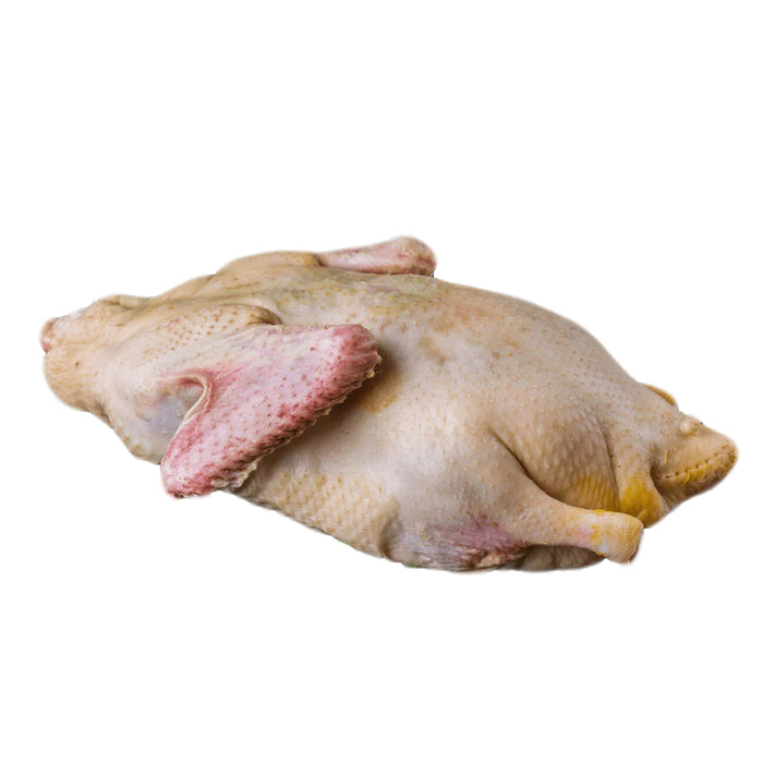Pasture Raised GOOSE (Corn and Soy Free)