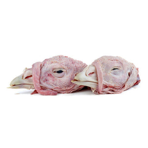 Pasture Raised Turkey Heads (Corn and Soy Free)