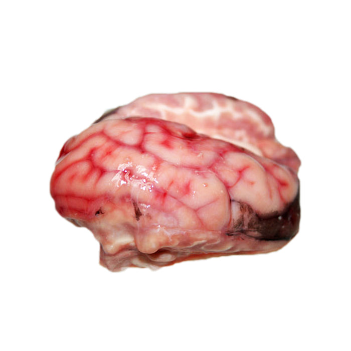 Grass Fed Lamb Brain