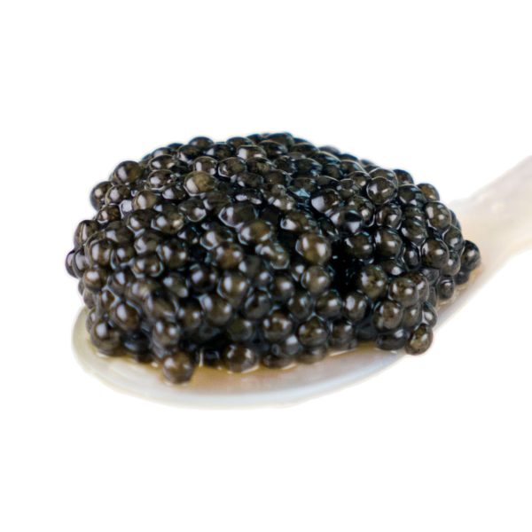 Sturgeon Caviar