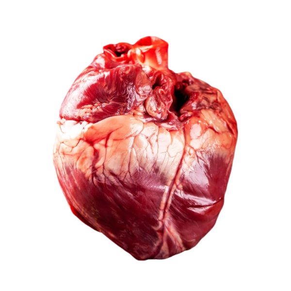 Whole Beef Heart