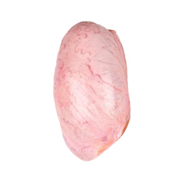 Beef Testicles - Male Virility