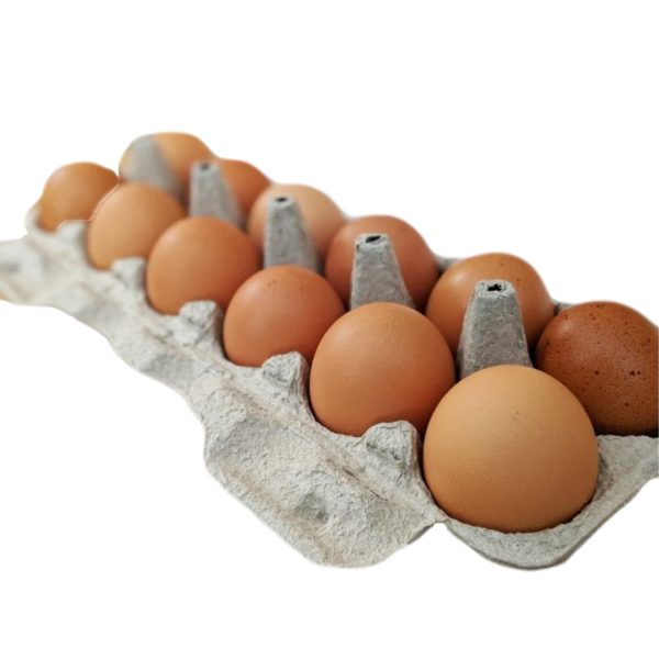Pasture Raised Chicken Eggs (Corn and Soy Free) - PLEASE ORDER SEPARATELY