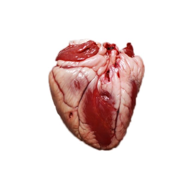 Grass Fed Lamb Heart