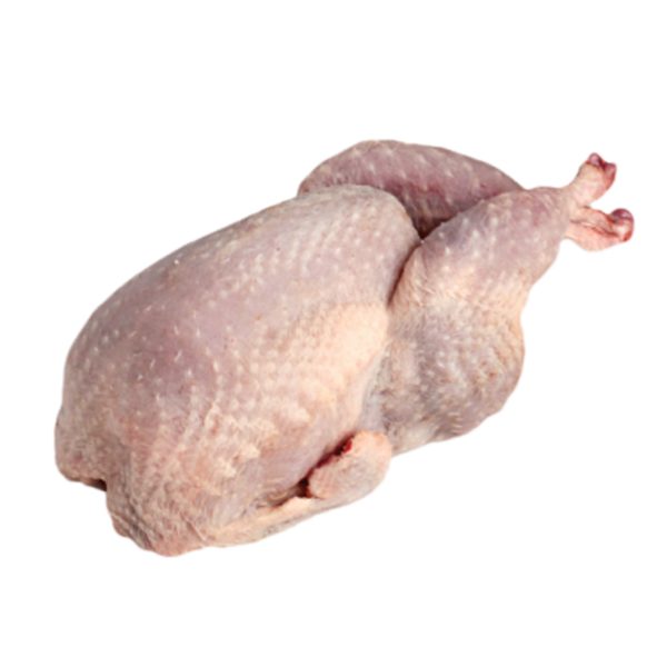 Pasture Raised Quail