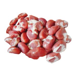 Rabbit Kidneys