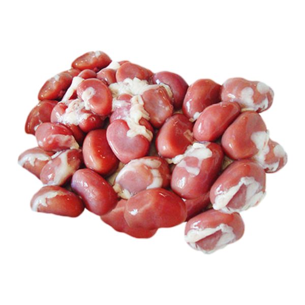 Rabbit Kidneys
