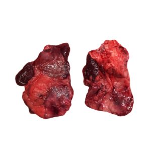 Beef Thyroid Glands - Thyroid Support