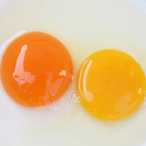 Pasture Raised Chicken Eggs (Corn and Soy Free) - PLEASE ORDER SEPARATELY