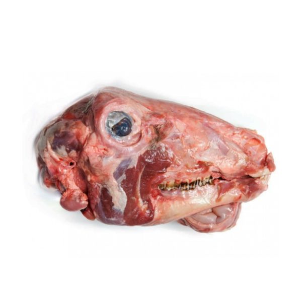 Grass Fed Lamb Head