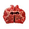Grass Fed Beef Neck Bones