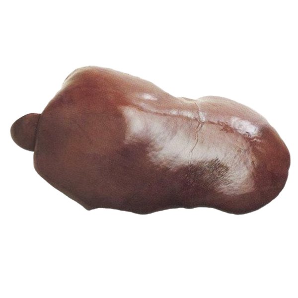 Whole Grass Fed Beef Liver
